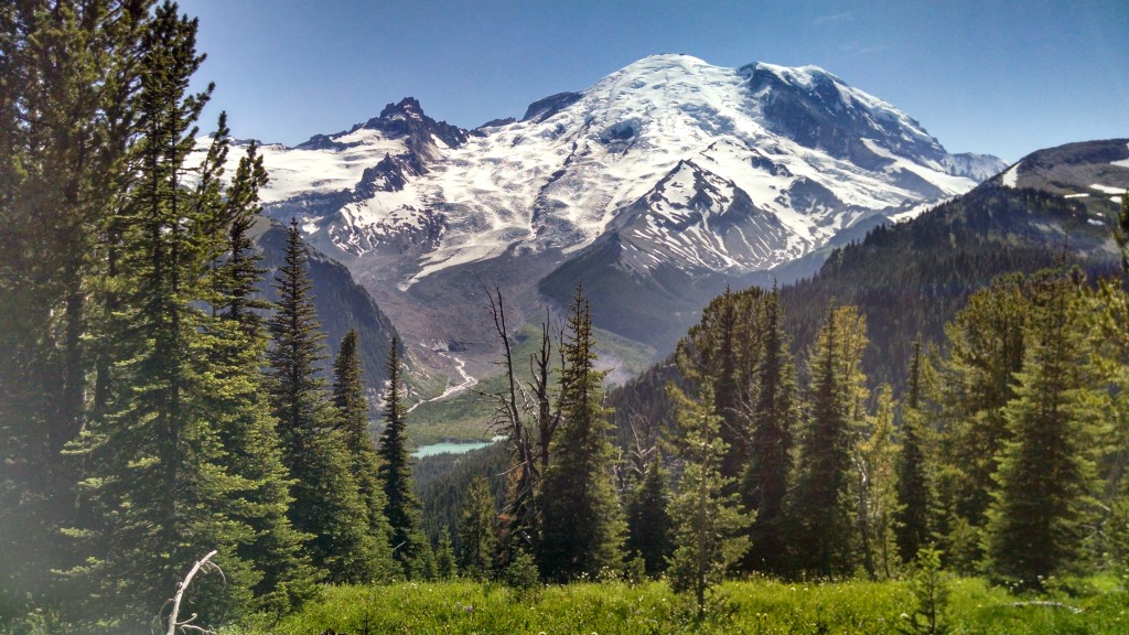 Mt Rainier Sunrise Trail