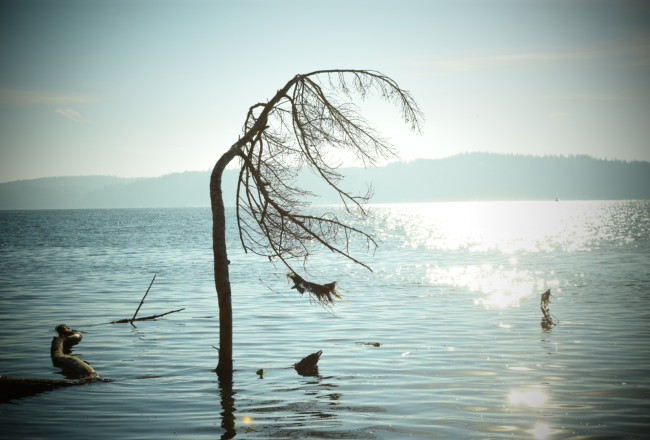 Camano Island State Park