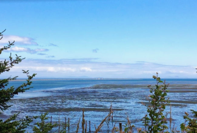 Near Dungeness Spit