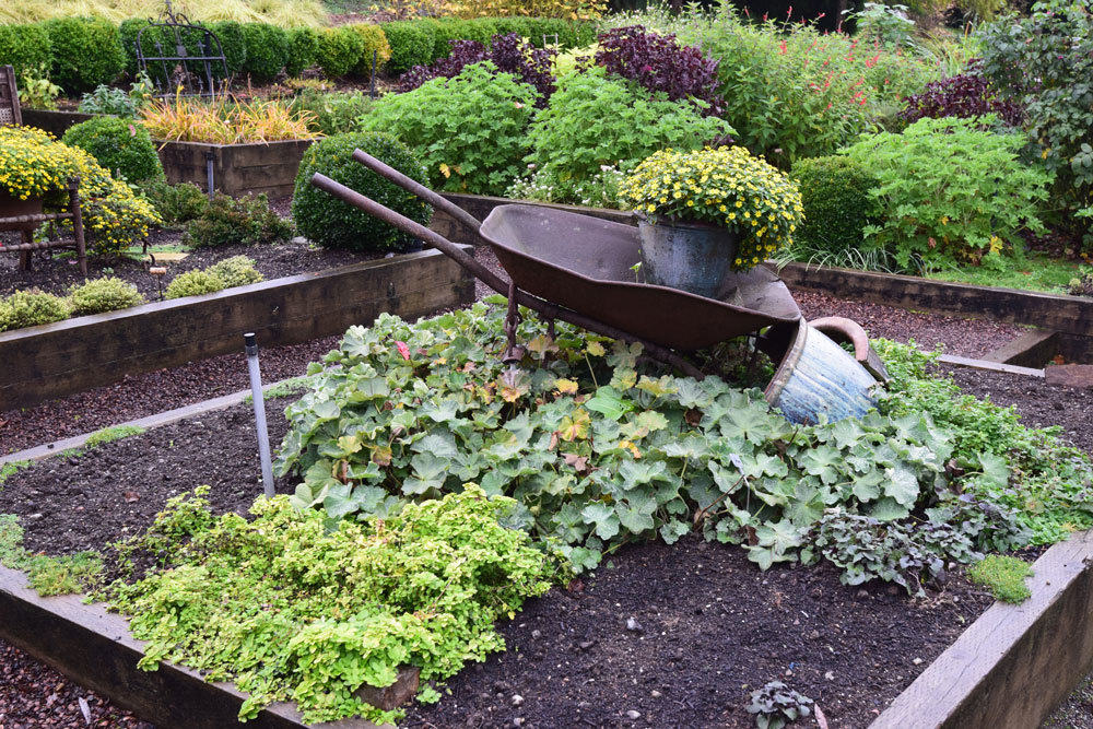 Herbs in the Garden