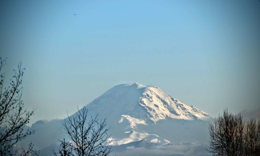 Mt Rainier from Kent