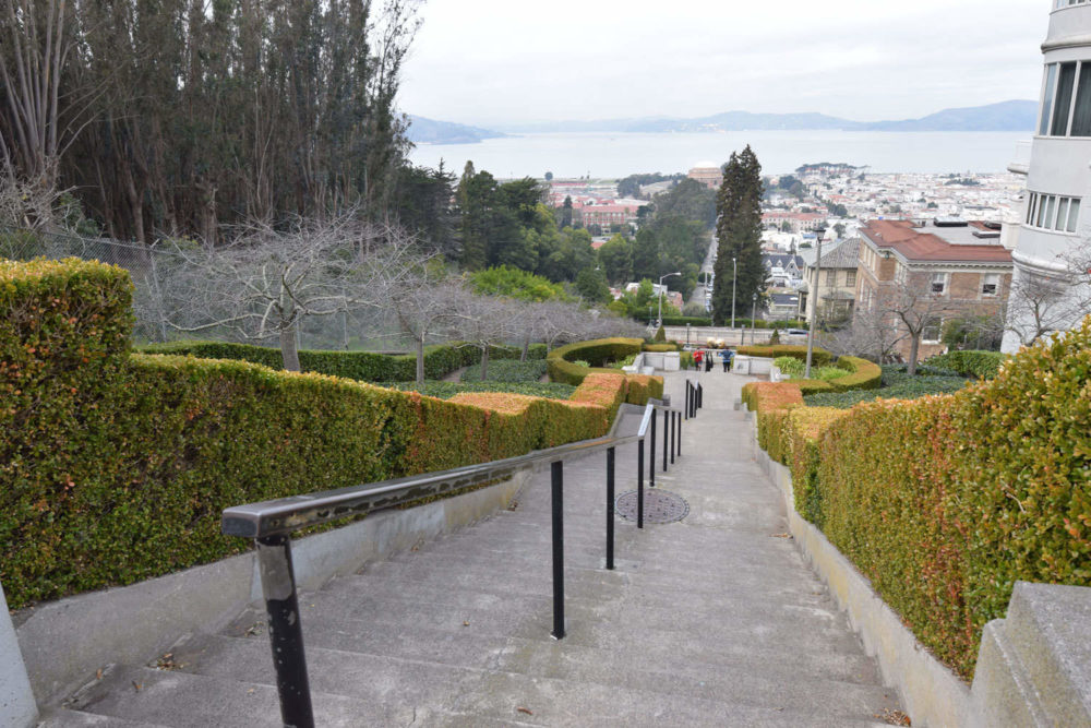 Pacific Heights