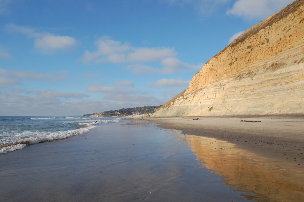 Beach & Cliff at Torrey Pines Park