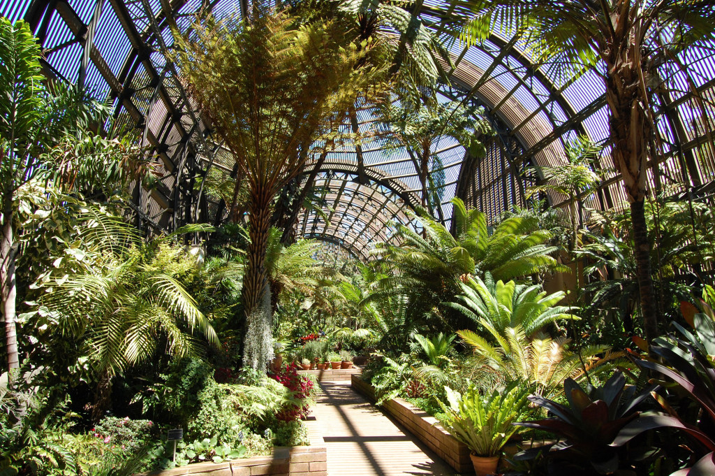 Botanical Building