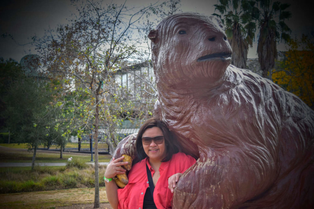 Sloth Cuddle!
