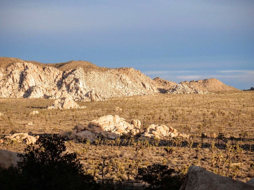 Mojave Desert