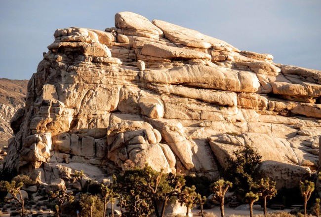 Joshua Tree National Park