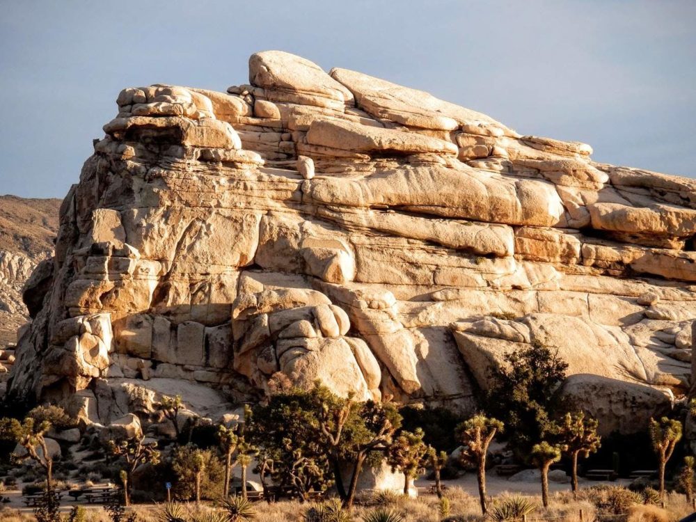 Joshua Tree National Park