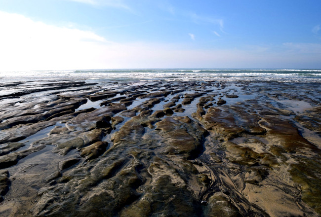 Torrey Pines Nature Preserve