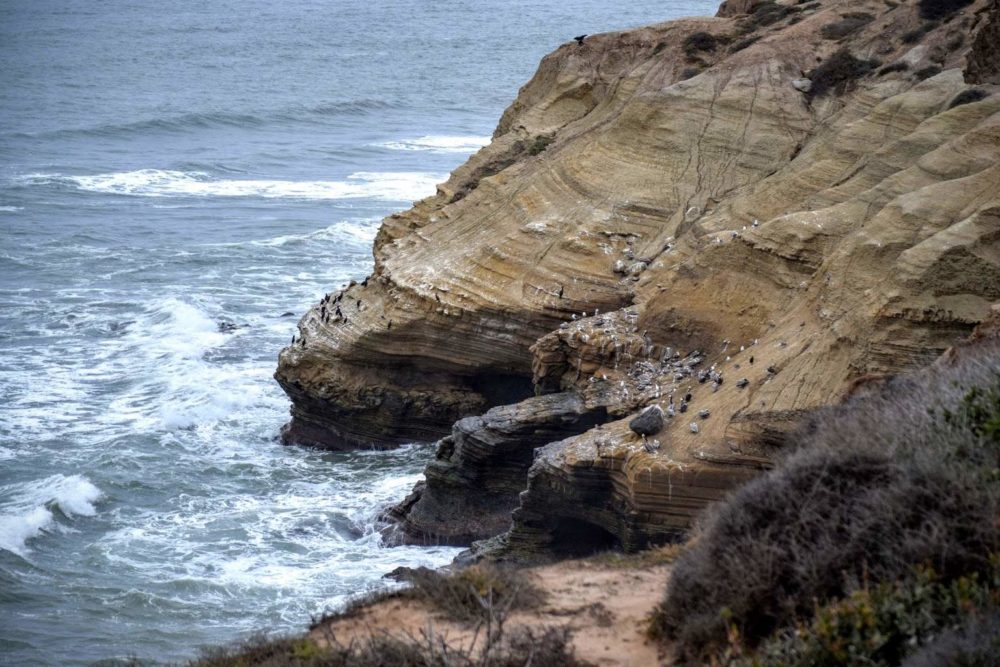 Cliffs of Loma Point