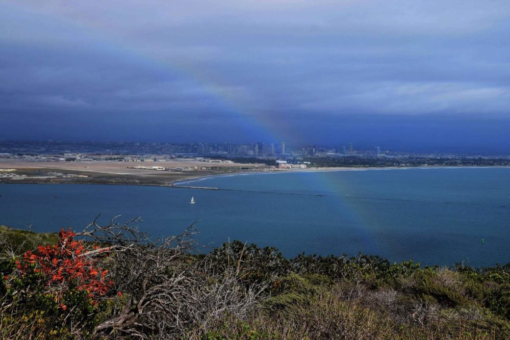 San Diego Rainbow