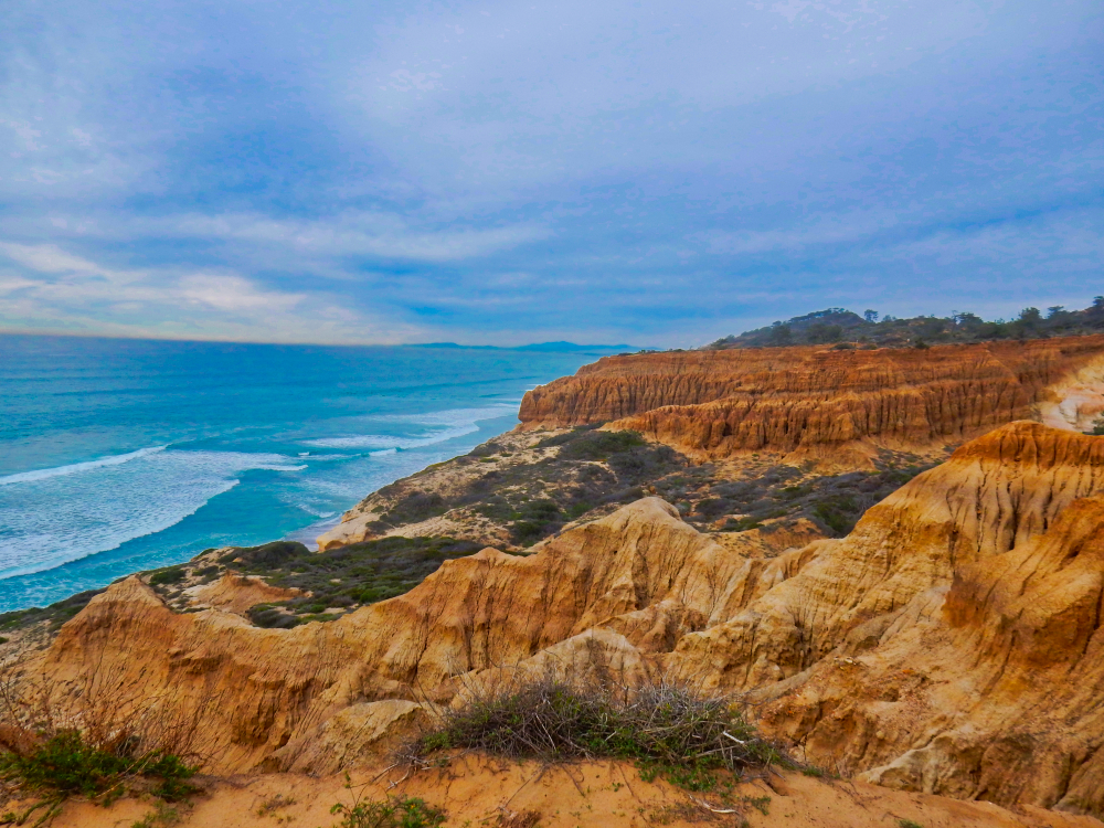 Torrey Pine Cliffs