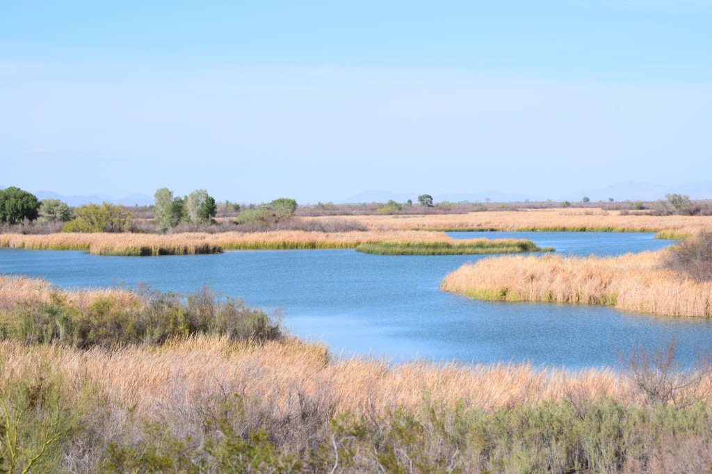 Cibola Lake