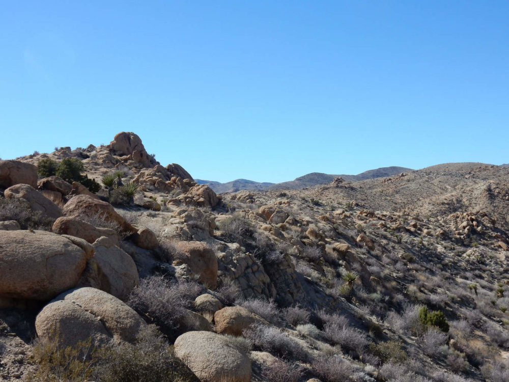 View from Mastodon Peak