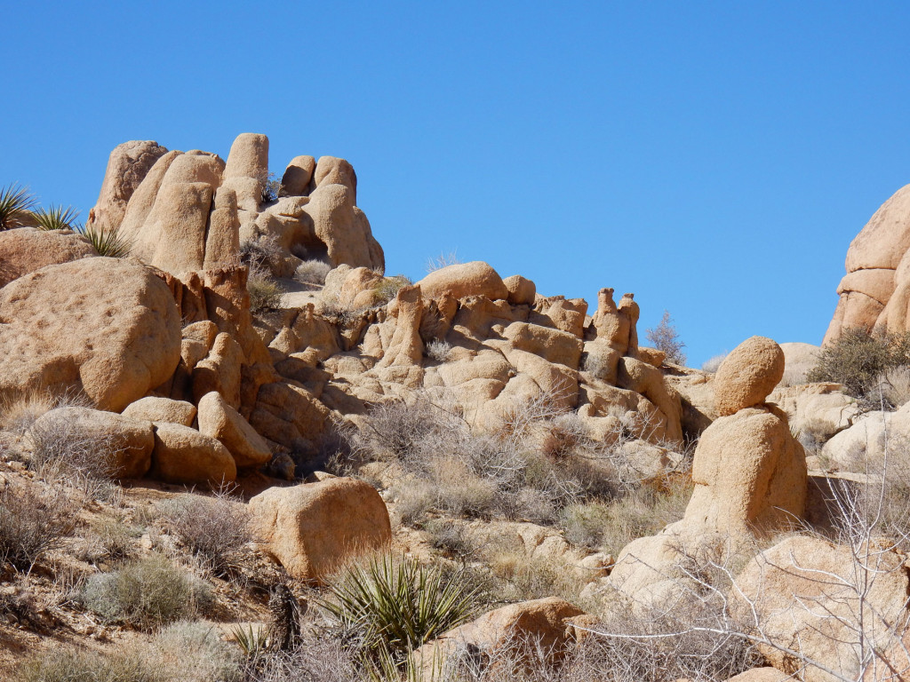 Boulders of Mastodon Trail