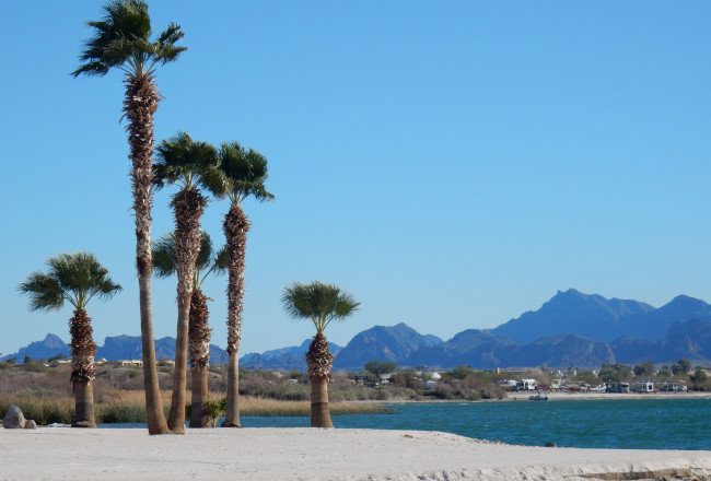 Lake Havasu
