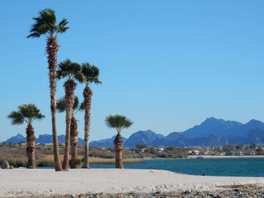 Lake Havasu