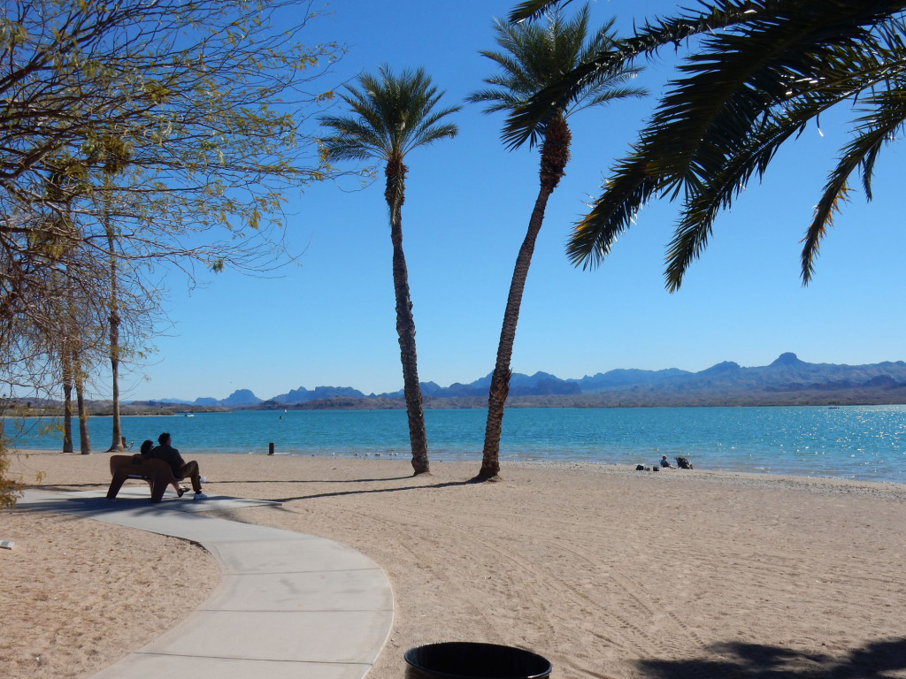 Shoreline Trail