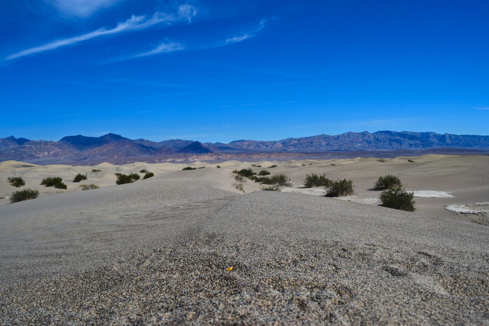 Mesquite Flats Sand Dunes