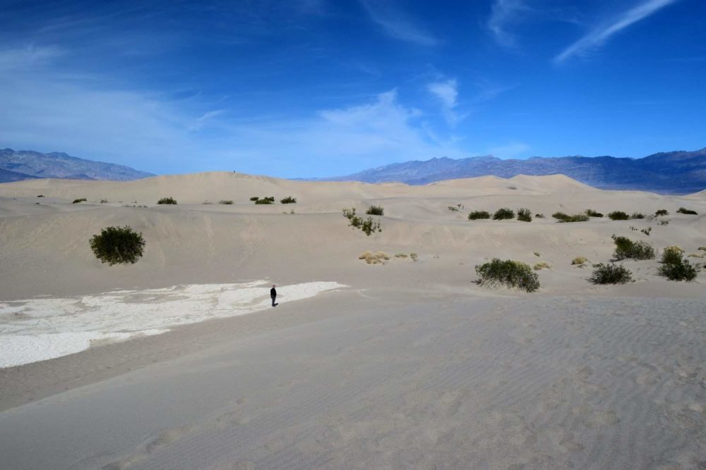 Mesquite Flat Sand Dunes