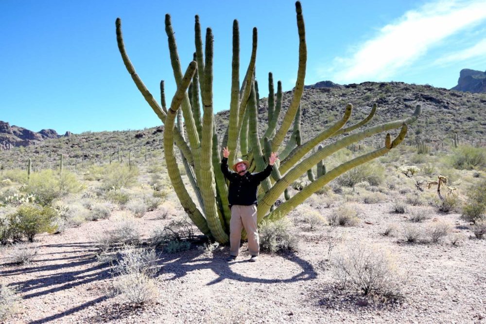 Sig and the Organ Pipe Cactus
