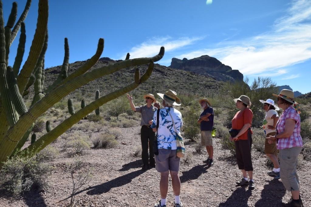 Ranger Dan introducing the Organ Pipe Cactus