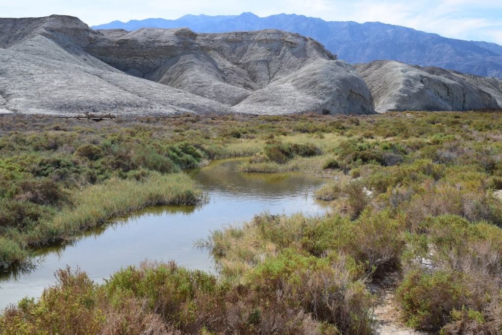 Spring-fed Salt Creek Pools