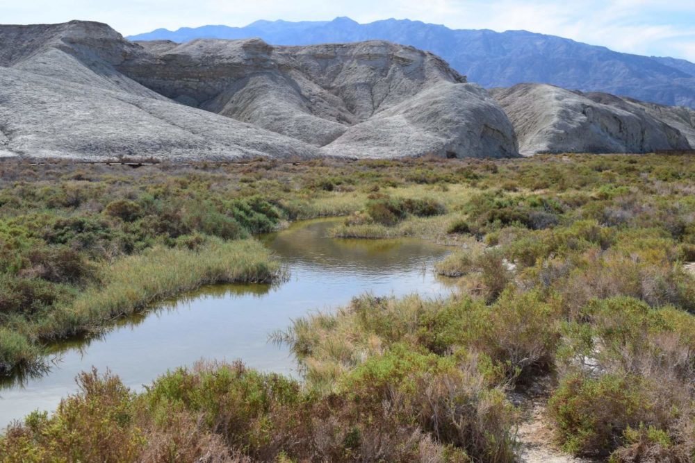 Spring-fed Salt Creek Pools