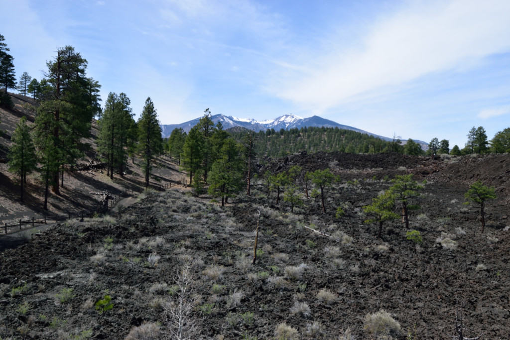 Bonito Lava Flow and San Francisco Peaks