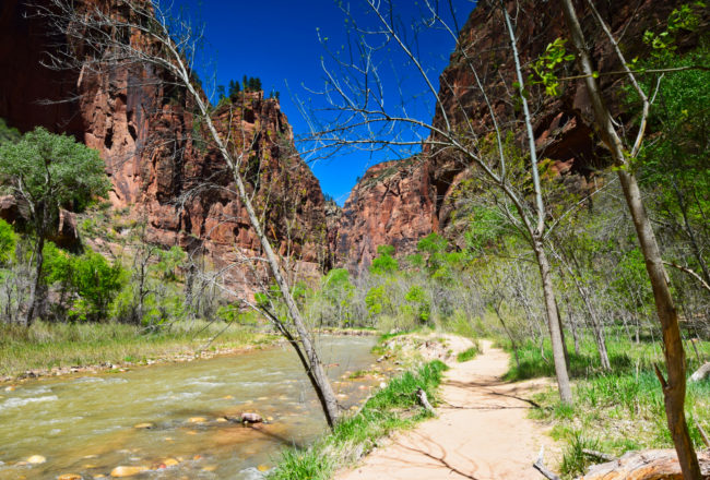 Riverside Walk Zion National Park