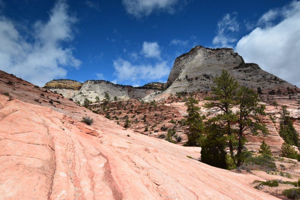 A Wave of Sandstone