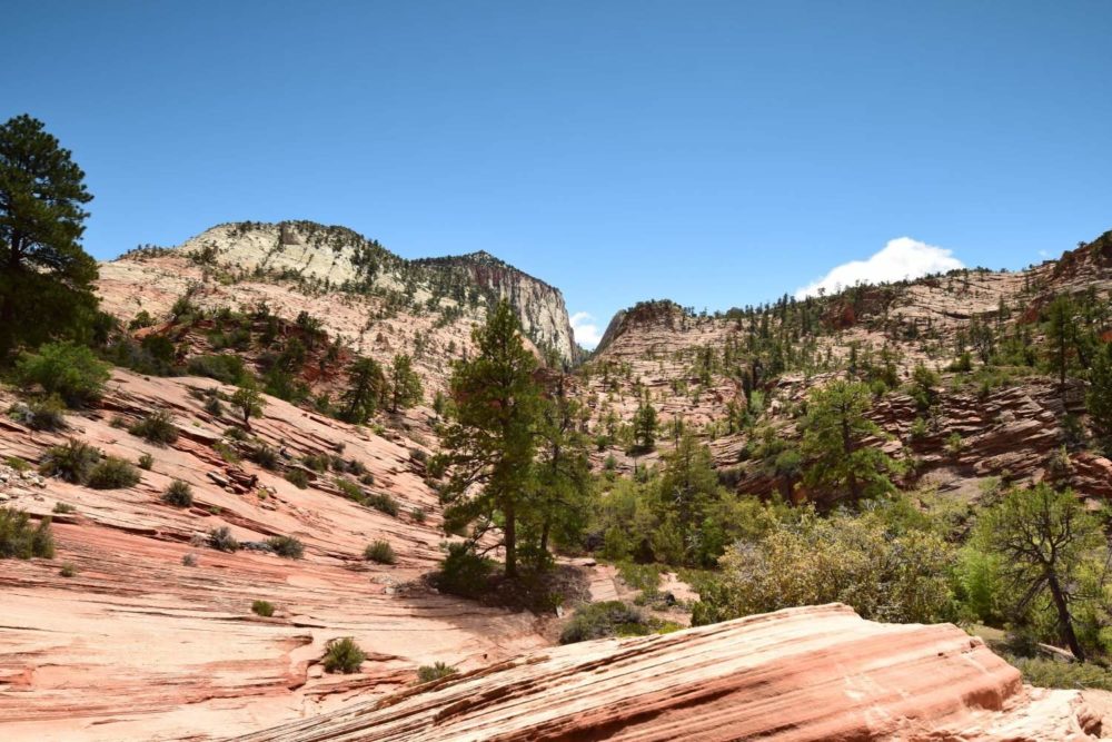 Zion Plateau Formations