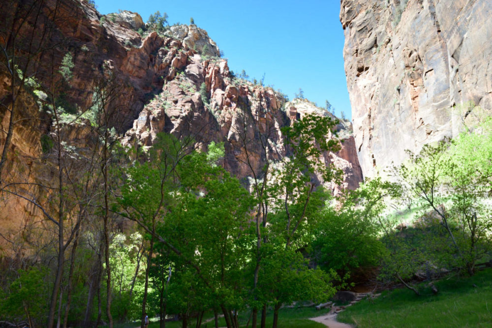 Riverside Trail is easy but still wonderfully pretty