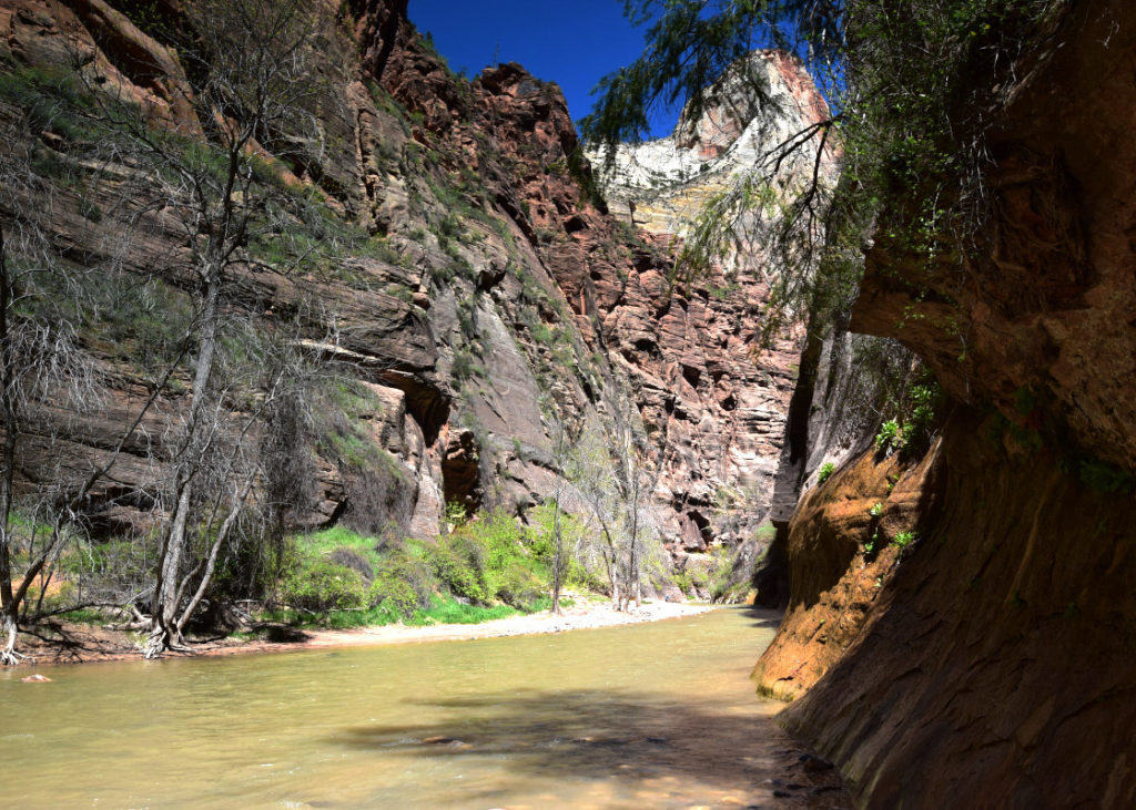 The Narrows is Blocked by High Waters