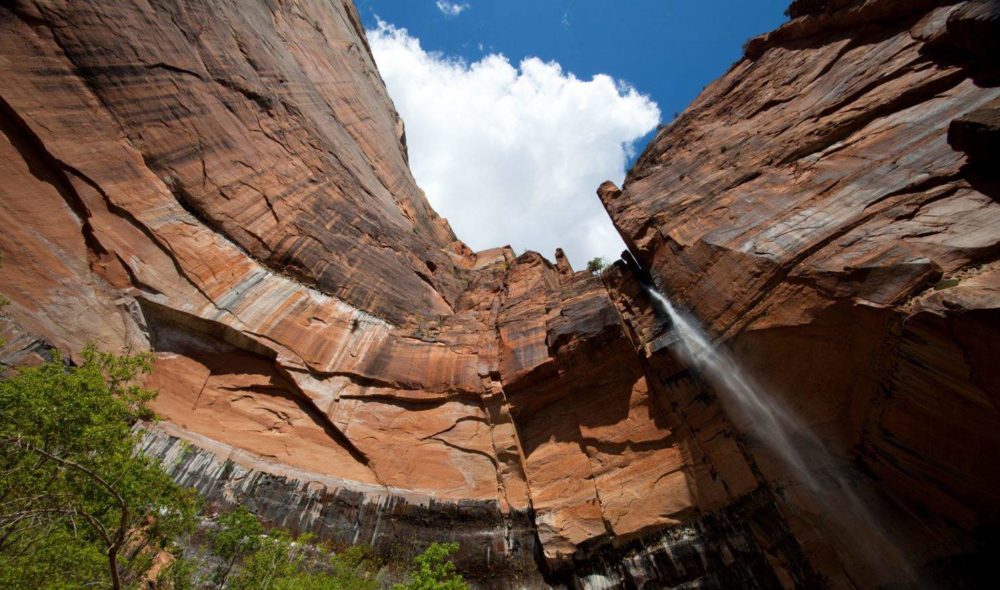 Blissful shade against the Upper Pool Cliff