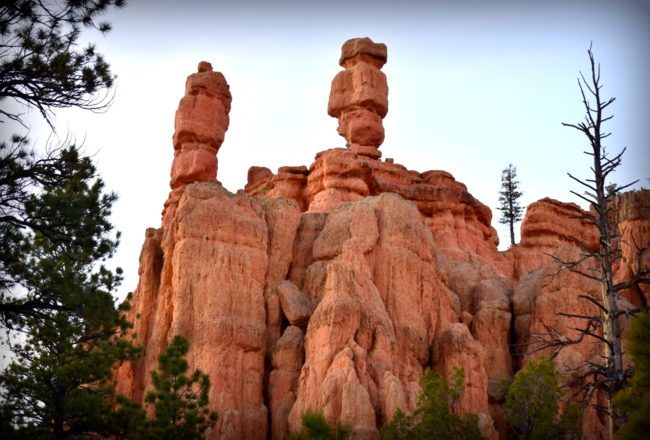 Hoodoo Red Canyon