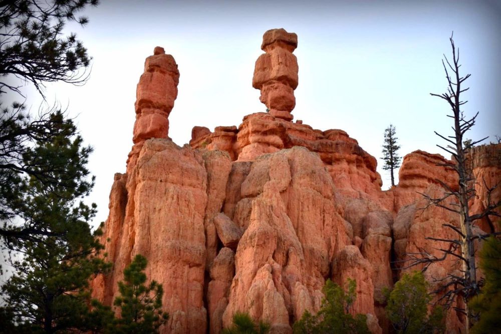 Hoodoo Red Canyon