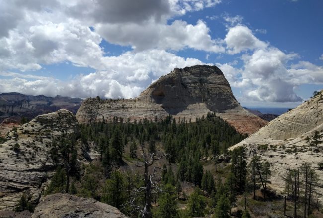 NorthGate Peaks Trail