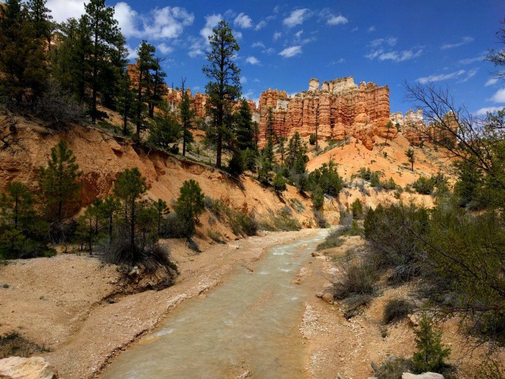 Hoodoos, water, pines, and blue sky. Perfect Combo