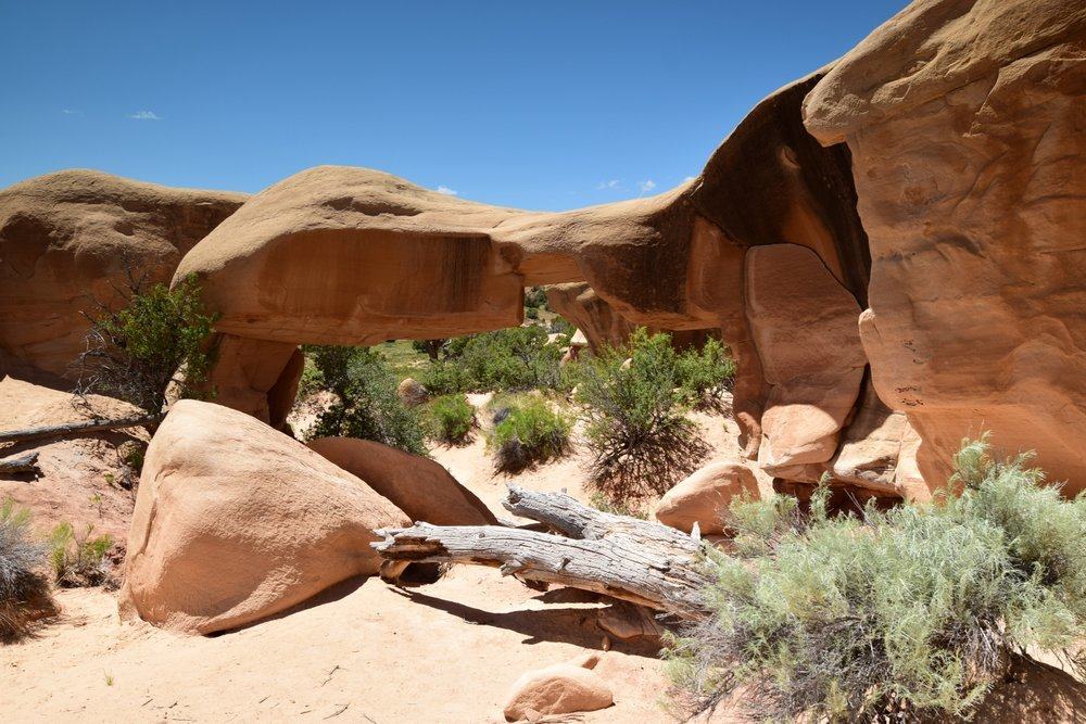 Mano Arch looking low and squat