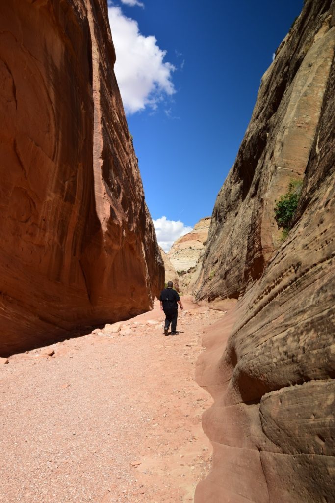 One of the most narrow points in Capitol Gorge