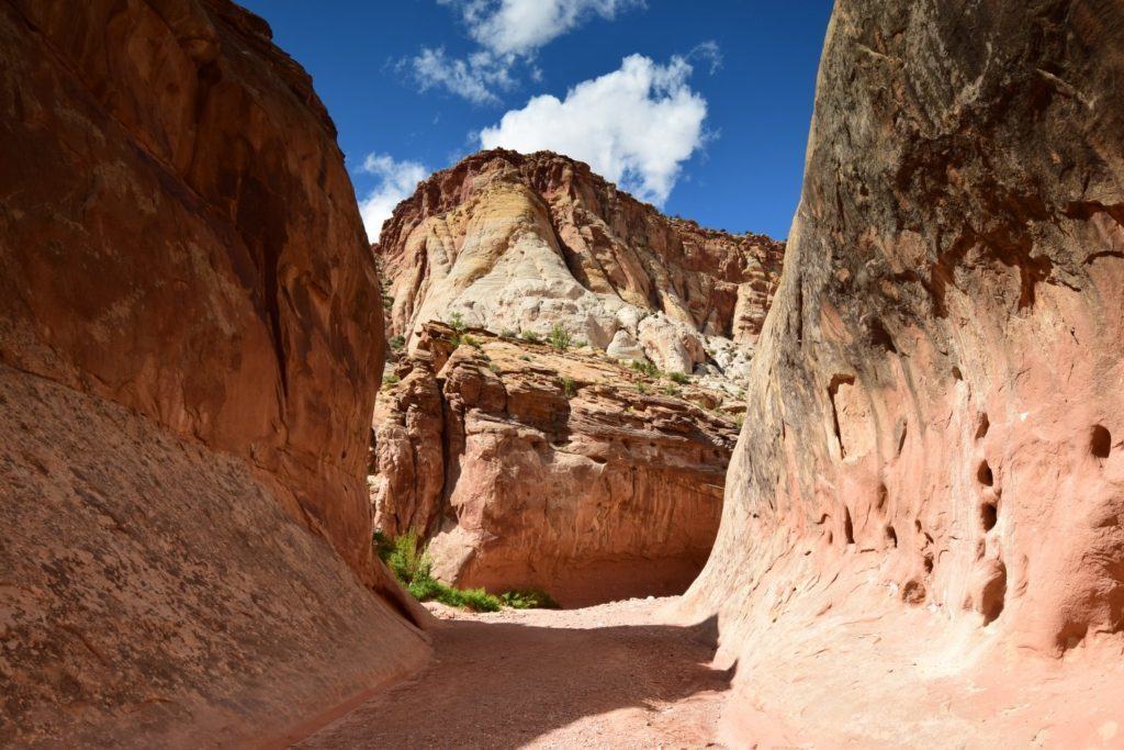 Another Narrow Spot in the Capitol Gorge Wash Trail