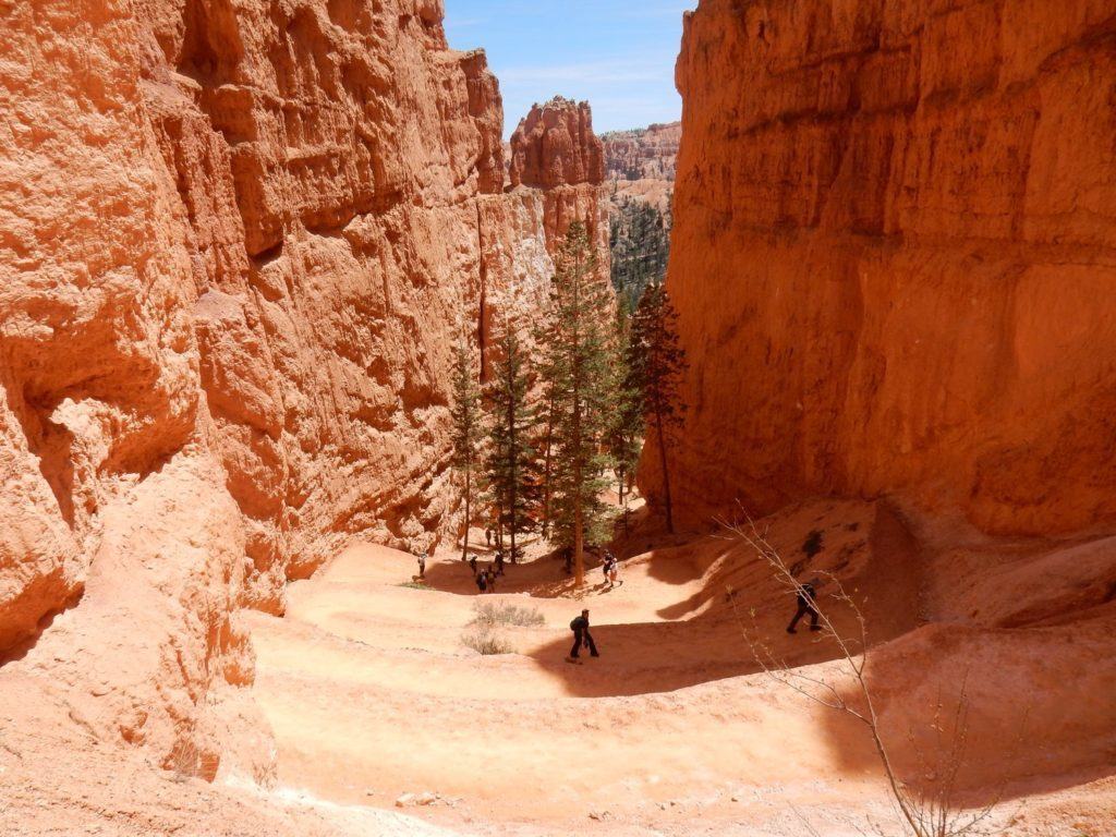 Navajo Switchbacks