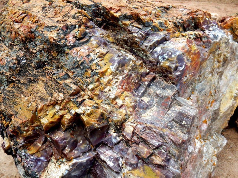 Petrified Wood Log. cobalt makes a green, blue. iron oxides make red, brown, and yellow.