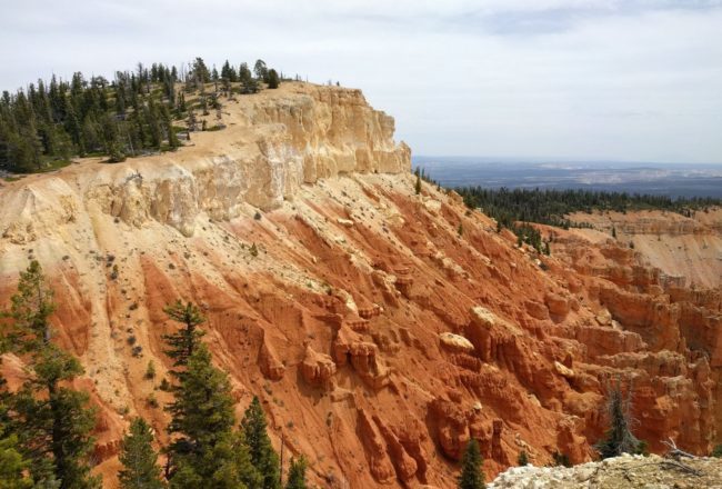 Pink Cliffs of Bryce Canyon