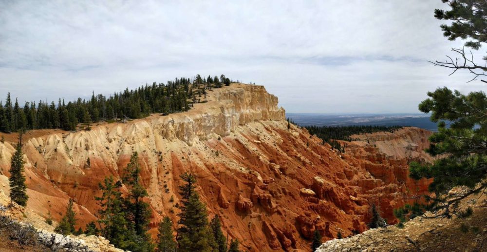 Pink Cliffs at Bristlecone Loop Trail