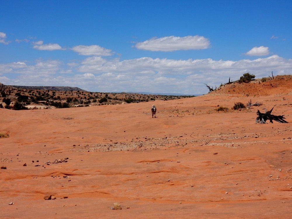 Slickrock of Petrified Sand Dunes