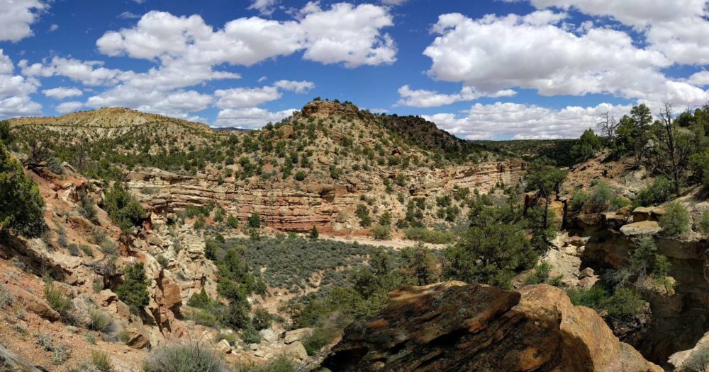 View from Sleeping Rainbow Trail