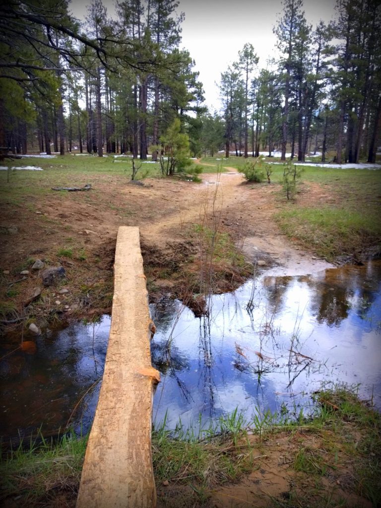 Stream Crossing along the Northgate Peak Trails