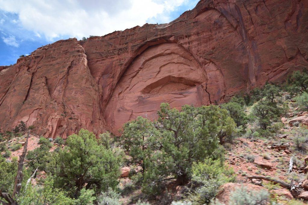 Tall Red Cliffs of Long Canyon